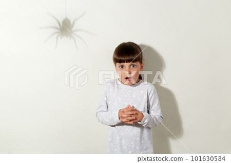 Scared to death child stands motionless and looking at camera with big frightened eyes, sees shadow of spider on wall, fears of insects, wearing casual attire, isolated over gray background. 101630584