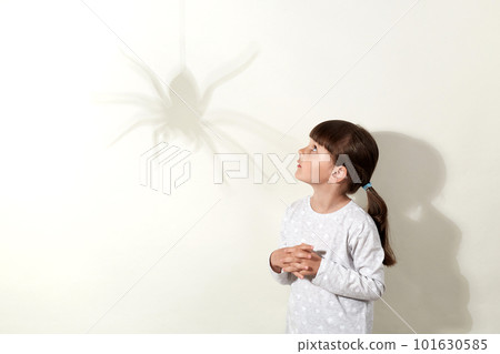 Spider casts large shadow on the wall, little female child being afraid of insects, looking at bug with scared look, keeping hands on chest, wearing white shirt and has dark hair. Spider casts large shadow on the wall, little female child being afraid of insects, looking at bug with scared look, keeping hands on chest, wearing white shirt and has dark hair. 101630585