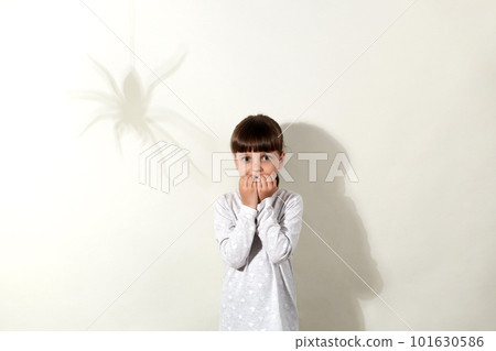 Arachnophobia. Scared little girl with dark hair and shadow of spider on wall, small kid looking directly at camera with big frightened eyes and biting her fingernails, dresses casually. 101630586