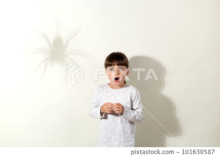 Frightened little girl wearing white casual shirt posing again]st gray wall with shadow of spider, female kid looking at camera with widely opened mouth, standing motionless, phobia of insects. 101630587