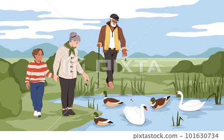 People feed ducks. Swans and drakes in the pond, walking grandfather, grandmother and grandson give food to birds, help animals, family leisure time, cartoon flat style tidy vector concept 101630734