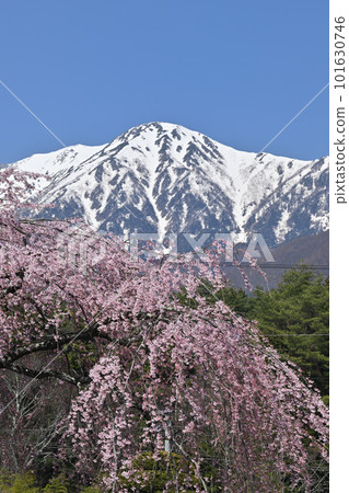 Central Alps from Kozenji Temple 101630746
