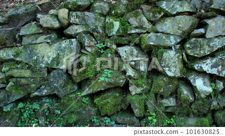 Old Stones With Moss Texture Background  101630825