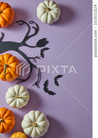 White and orange pumpkins on purple background with paper owl and bat. Halloween decoration. Flat lay 101631024