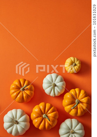 Many halloween pumpkins arranged at the bottom. Top view. Blank space for text or product promotion. 101631029