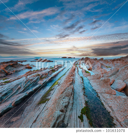 Twilight ocean coast with ribbed stratiform rock. 101631078
