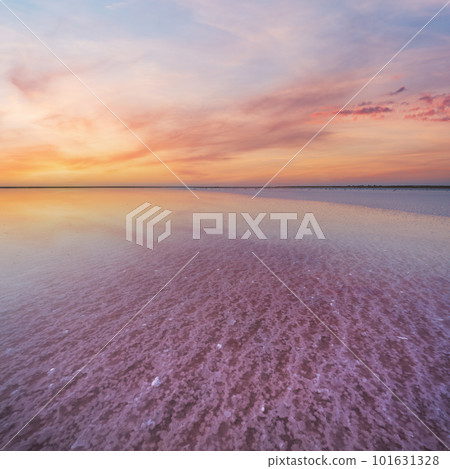 Sunset Genichesk pink salty lake, Ukraine Sunset Genichesk pink salty lake, Ukraine 101631328
