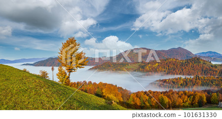 Morning foggy clouds in autumn mountain countryside.  Ukraine, Carpathian Mountains, Transcarpathia. 101631330