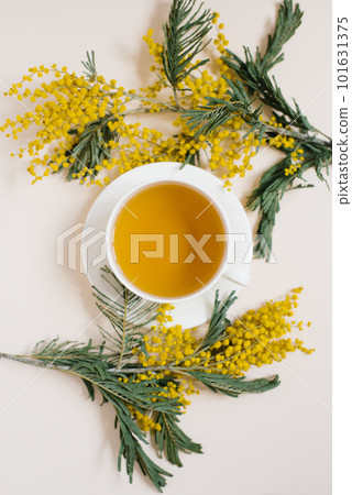 A cup of green tea surrounded by yellow mimosa branches A cup of green tea surrounded by yellow mimosa branches 101631375