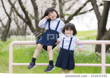 Sisters in kindergarten uniforms and cherry blossoms in full bloom Sisters in kindergarten uniforms and cherry blossoms in full bloom 101631581
