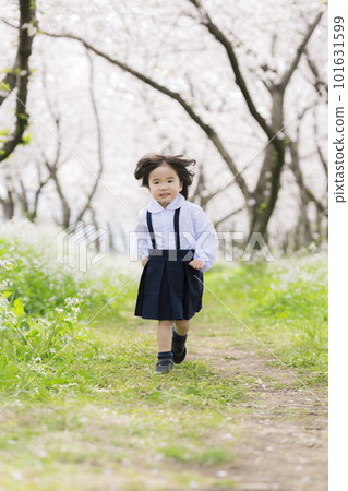 穿著幼兒園制服的低年級女生沿著櫻花樹奔跑 101631599