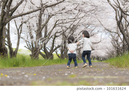 沿著櫻花樹奔跑的姐妹們 101631624