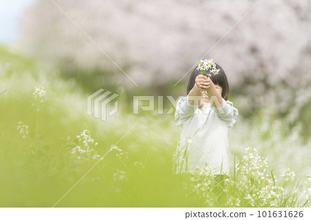女孩在櫻花公園玩 101631626