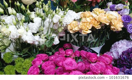 Roses, hydrangeas, chrysanthemums and other flowers in refrigerator room in a flower shop Roses, hydrangeas, chrysanthemums and other flowers in refrigerator room in a flower shop 101631676