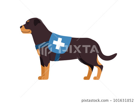 Rescue and emergency dog in vest with cross, flat vector illustration isolated on white background. 101631852