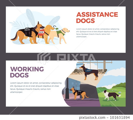 Assistance and working dogs web banners template, flat vector illustration. Assistance and working dogs web banners template, flat vector illustration. 101631894