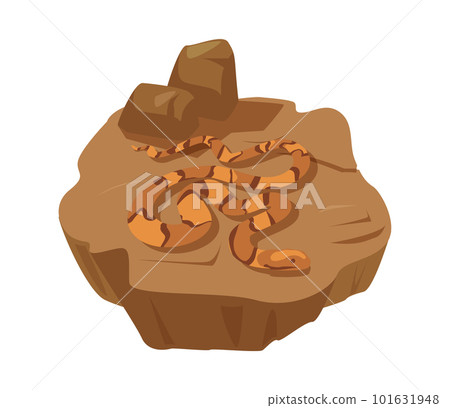 Easter copperhead snake crawling on the ground, flat vector illustration isolated on white background. 101631948