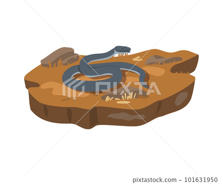Black mamba snake crawling on the ground, flat vector illustration isolated on white background. 101631950
