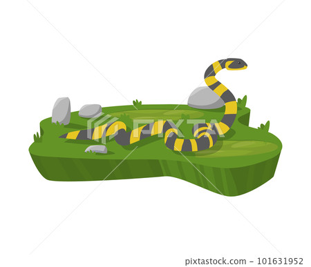 Coral snake with bright stripes flat vector illustration isolated on white. 101631952