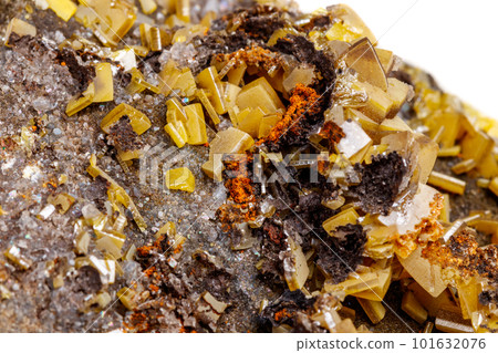 Macro mineral stone yellow Wulfenite on a white background 101632076