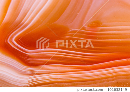 Macro mineral orange agate in crystals on white background 101632149