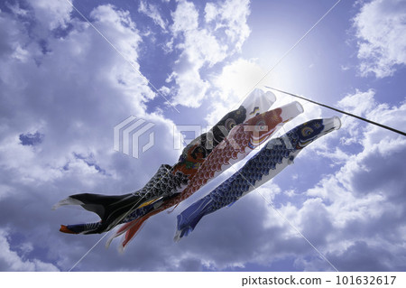 鯉魚stream在藍藍的天空中游泳 101632617