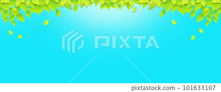 Tree leaves and blue sky background illustration, seasonal image Tree leaves and blue sky background illustration, seasonal image 101633107