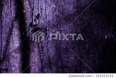 Old Wood Tree Texture Background 101633244