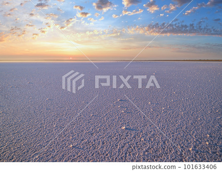 Sunset Genichesk pink  salty lake, Ukraine 101633406