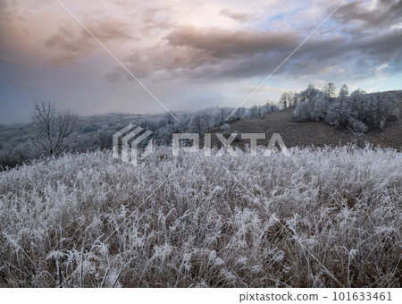 Winter coming. Cloudy and foggy morning very late autumn mountains scene. Peaceful picturesque traveling, seasonal, nature and countryside beauty concept scene. Carpathian Mountains, Ukraine. 101633461