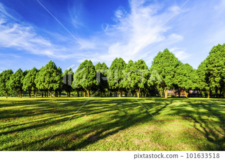 Beautiful view of grassland and woods at Taiwan Adventist College in Nantou, Taiwan. Beautiful view of grassland and woods at Taiwan Adventist College in Nantou, Taiwan. 101633518