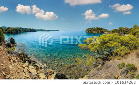Morning summer Aegean Sea rocky coast landscape with pine trees on shore, Sithonia (near Ag. Kiriaki), Halkidiki, Greece. 101634268