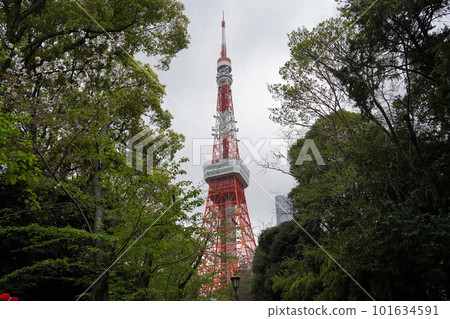 Tokyo Tower Tokyo Tower 101634591