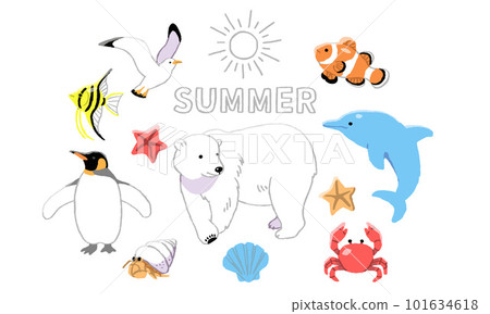 插圖集的夏季動物 101634618
