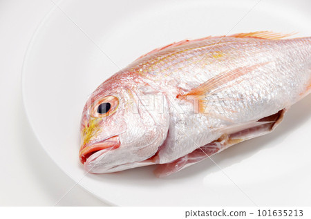 Renkodai on a plate 101635213