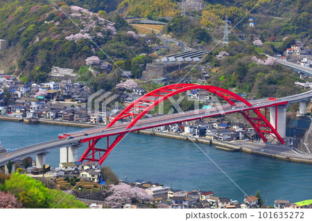 [Hiroshima Prefecture] Daini Ondo Bridge (Ondo no Seto) with cherry blossoms in full bloom 101635272