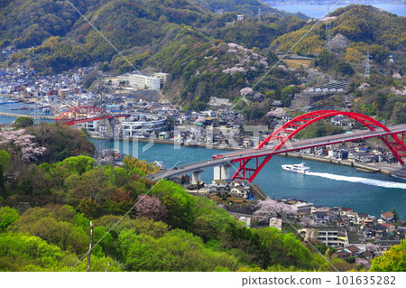 [Hiroshima Prefecture] Cherry Blossoms in Full Bloom Ondo Bridge and Super Jet 101635282