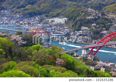 [廣島縣]櫻花盛開的音堂橋和超級噴氣式飛機 101635286
