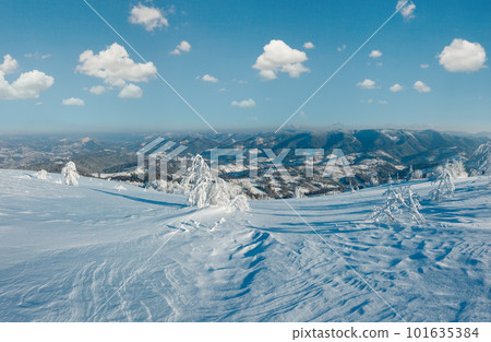 Morning winter calm mountain panorama landscape with beautiful frosting trees and snowdrifts on slope (Carpathian Mountains, Ukraine) 101635384