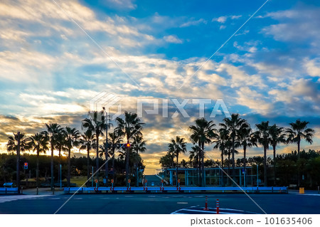 Sky dyed in the morning glow Urayasu City Comprehensive Park (Urayasu City, Chiba Prefecture) 101635406