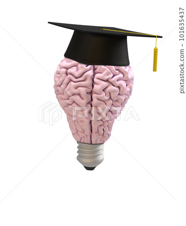 Brain of Lightbulb Shape with Education Hat on white background Brain of Lightbulb Shape with Education Hat on white background 101635437