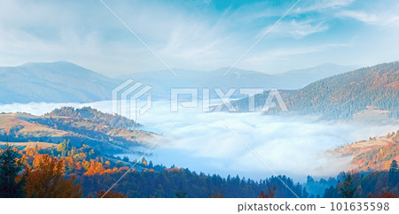 Autumn misty morning mountain panorama (Carpathian , Ukraine) 101635598