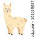 沒有主線的簡單羊駝插畫 101636057