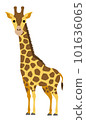 沒有主線的簡單長頸鹿插畫 101636065