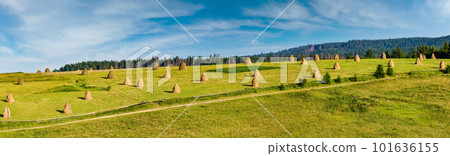 Summer mountain village outskirts with haystacks Summer mountain village outskirts with haystacks 101636155
