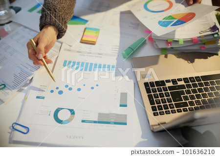 business woman working with documents and graphs business woman working with documents and graphs 101636210