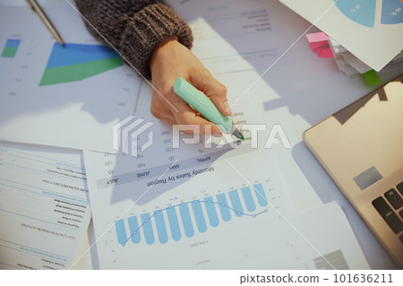 business woman working with documents and graphs 101636211