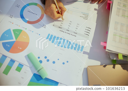 business woman working with documents and graphs 101636213