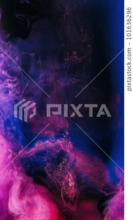 Paint water. Ink splash. Color smoke cloud. Fluorescent viva magenta pink blue purple vapor floating on dark black abstract background. 101636296
