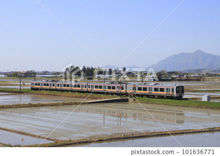 越後線E129系列列車（4編組：吉田⇔新潟） 101636771